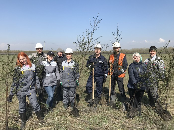 «Разрез Кийзасский» принял участие во «Всероссийском дне посадки леса»