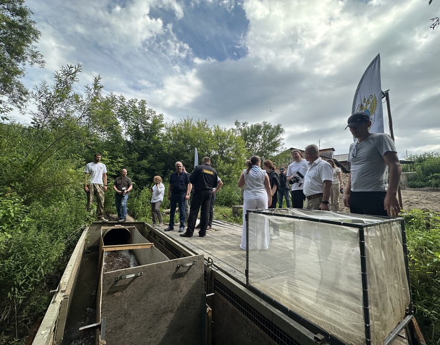 «Разрез Кузнецкий Южный» выпустил в реку тысячи мальков нельмы