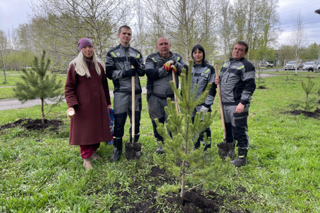 Памятные сосны: «Разрез Кузнецкий Южный» продолжает озеленение Мысков