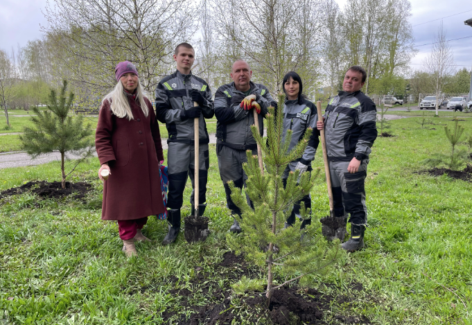 Памятные сосны: «Разрез Кузнецкий Южный» продолжает озеленение Мысков